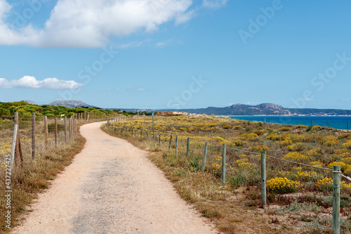 dirt road in the province of girona