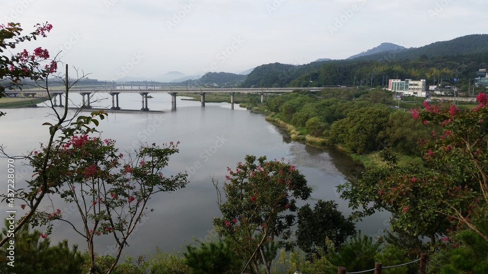 교량과 강변의 풍경 Stock Photo | Adobe Stock