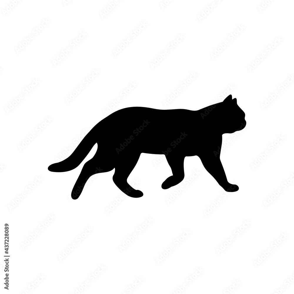 Silhouette of a black cat on a white background.