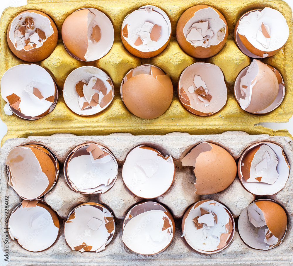 broken eggs in a box broken eggs in a box
