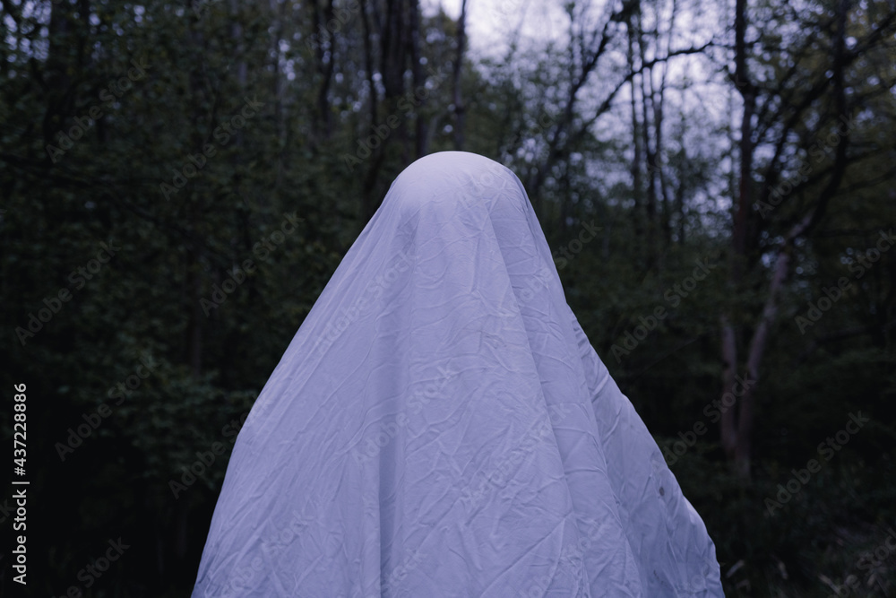 A moody horror edit of a ghost with a sheet over it's head. Standing in a forest.