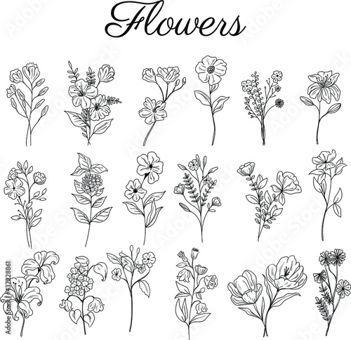 Fototapeta Naklejka Na Ścianę i Meble -  set hand drawn botanical floral decorative elements