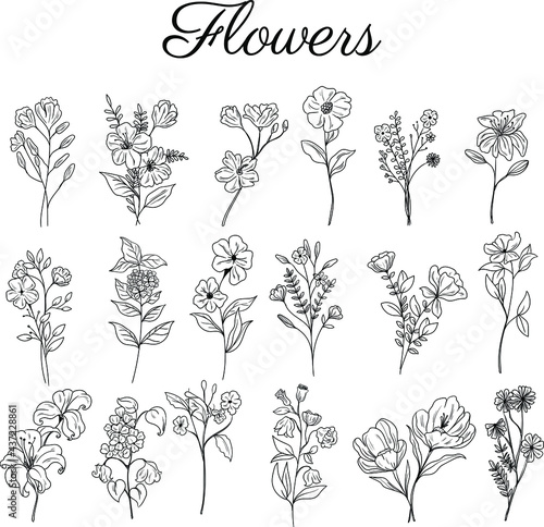 set hand drawn botanical floral decorative elements