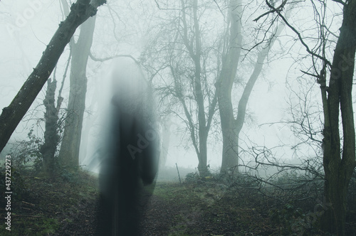 Fototapeta A moody horror edit of a blurred, transparent ghost standing in a forest