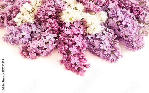 Beautiful Lilac flowers isolated on white background