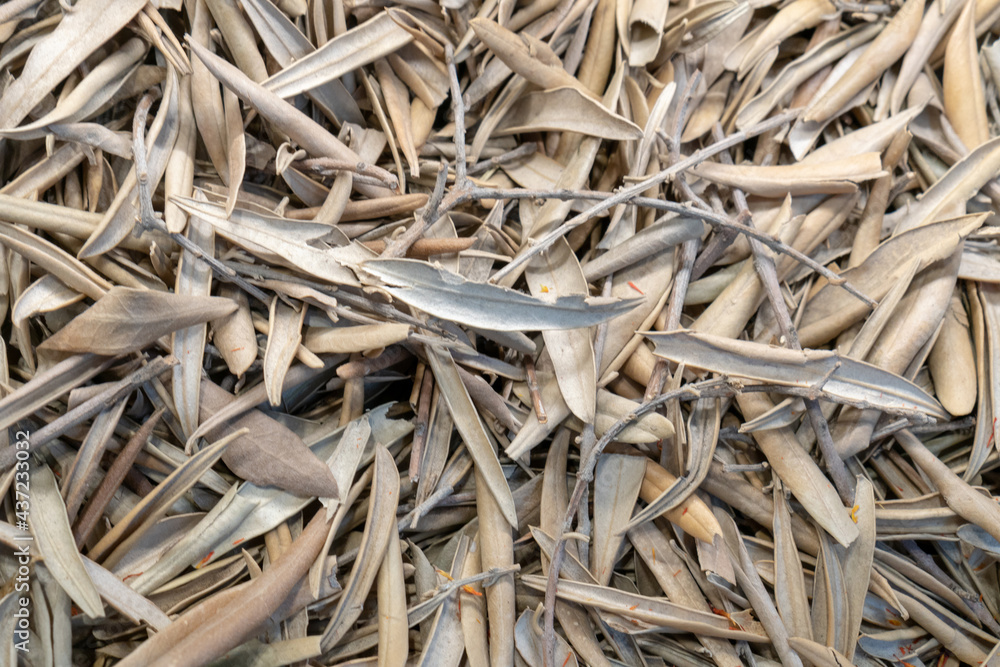 crop residues texture. Background plant residues. stubble. crop residues texture. Background plant residues. stubble.