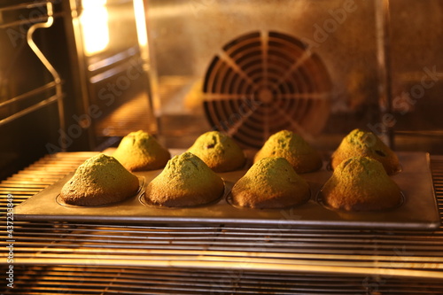 Fotografía 마들렌 오븐 그린티마들렌 oven  baking