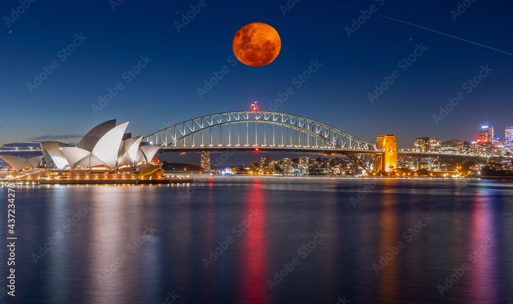 Fototapeta premium Panoramic night view of Sydney Harbour a full blood moon night and CBD buildings on the foreshore in NSW Australia