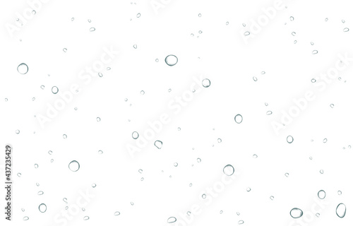Oxygen air bubbles  flow  in water on white  background.