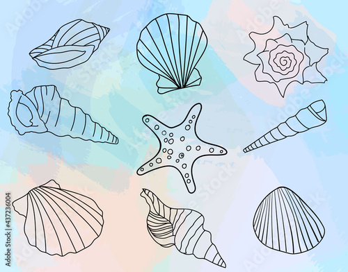 Hand-drawn seashell collection on watercolor background. Vector illustration