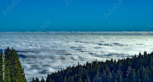 Obraz na plátně sea of fog