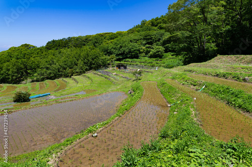 静岡県賀茂郡松崎町 石部の棚田