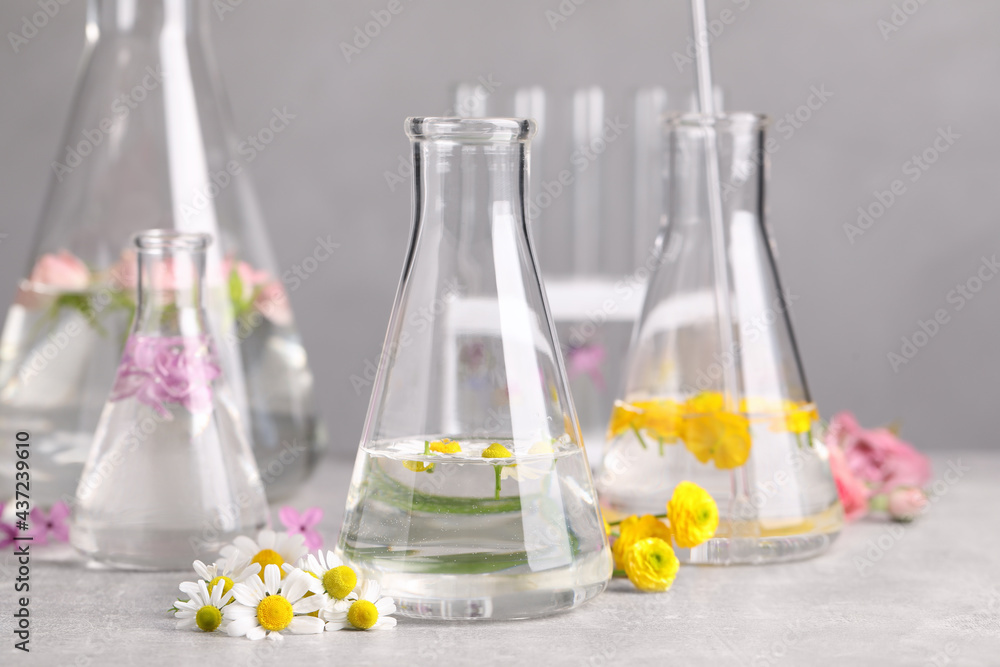 Flasks with different flowers on light table. Essential oil extraction Flasks with different flowers on light table. Essential oil extraction