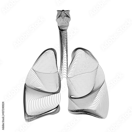 Human lungs silhouette consisting of black dots and particles. 3D vector wireframe of internal organ with a grain texture. Abstract geometric icon with dotted structure isolated on a white background