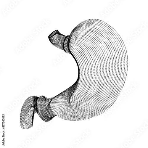 Stomach silhouette consisting of black dots and particles. 3D vector wireframe of an internal organ with a grain texture. Abstract geometric icon with dotted structure isolated on a white background