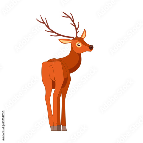 Rear view of the deer. Ungulate ruminant mammals. Cartoon animal design. Cute deer with horns. Flat vector illustration isolated on a white background