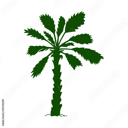 Illustration of  silhouette palm tree for design, website, background, banner. Hand drawing floral on beach. Travel and vacation