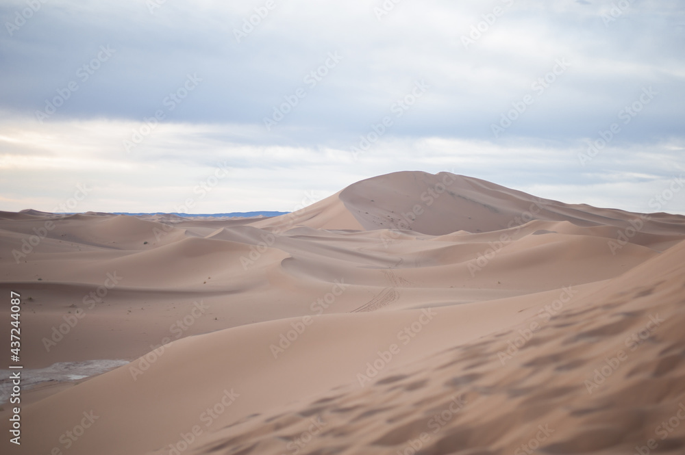 endless expanses of the Sahara huge sand dunes at dawn of sunrise endless expanses of the Sahara huge sand dunes at dawn of sunrise