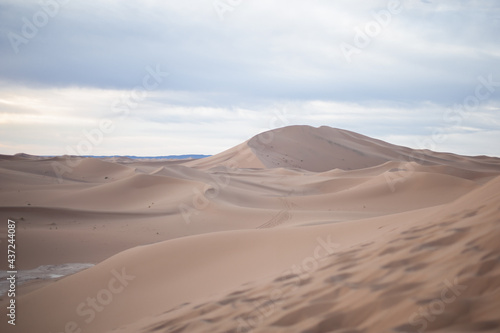 endless expanses of the Sahara huge sand dunes at dawn of sunrise