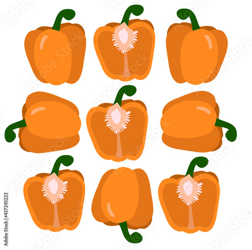 Vector image of a poster with pepper. Pepper whole and chunks