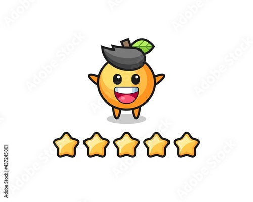 the illustration of customer best rating, orange fruit cute character with 5 stars © heriyusuf