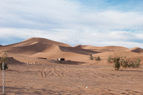 berber camp inendless expanses of the Sahara huge sand dunes at dawn of sunrise 