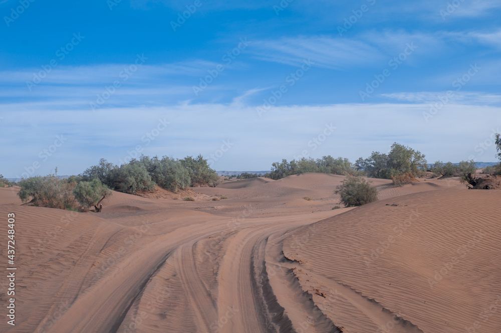 extreme travel on powerful SUVs endless expanses of the Sahara huge sand dunes 