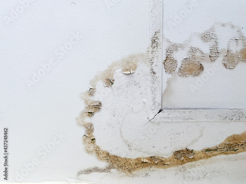 Water stains and mold on the white ceiling caused by moisture in the bathroom. Concept of old house interior have to be repair.