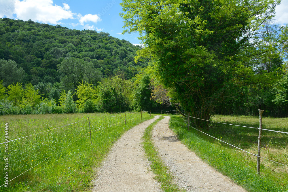 The late May landscape near the village of Merso di Sopra in Udine Province, Friuli-Venezia Giulia, north east Italy
