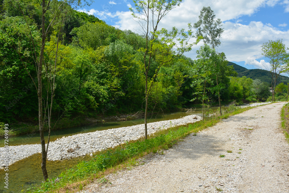The late May landscape near the Torrente Cosizza river close to the village of Cemur in Udine Province, Friuli-Venezia Giulia, north east Italy
