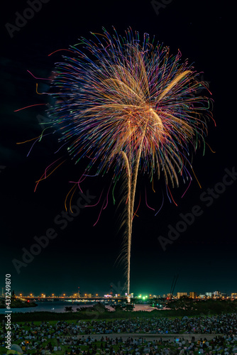fireworks in the night sky