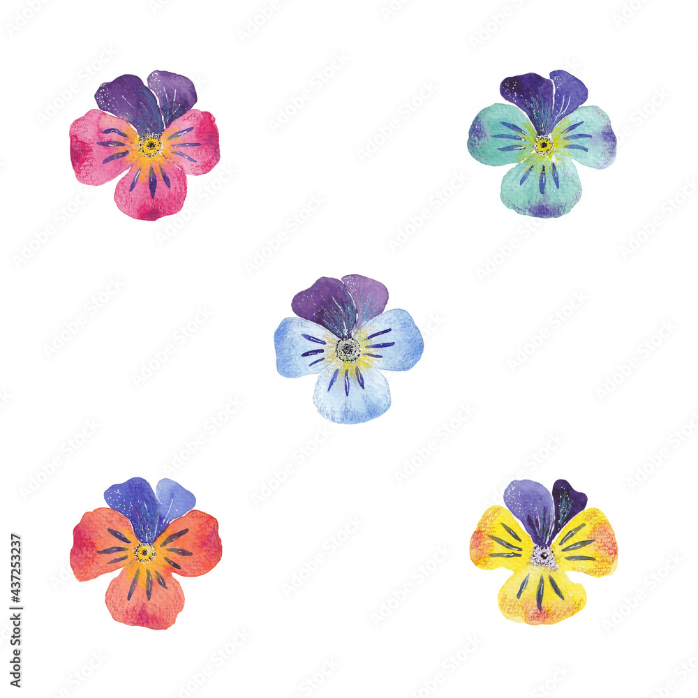 Paint set of hand-drawn watercolor pansies flowers on a white background. Use for menus, invitations, wedding Paint set of hand-drawn watercolor pansies flowers on a white background. Use for menus, invitations, wedding