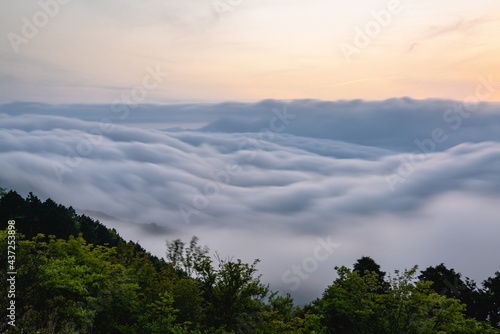 箱根の雲海