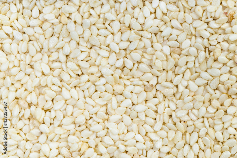 background - many white sesame seeds