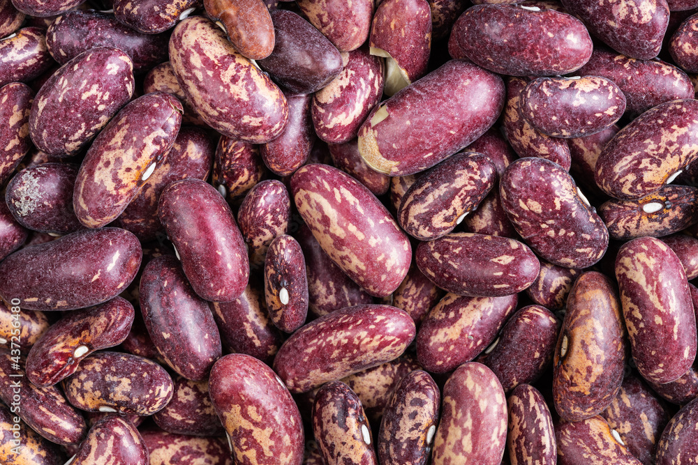 background - raw red spotted pinto beans background - raw red spotted pinto beans