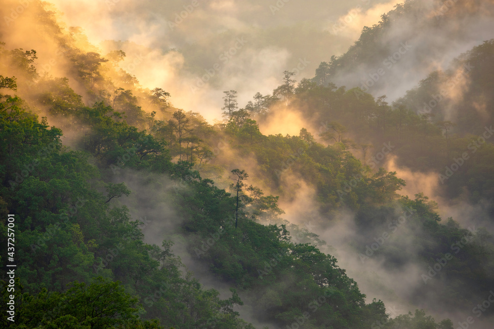Fototapeta premium The mist at sunrise in the morning looks refreshing and beautiful.