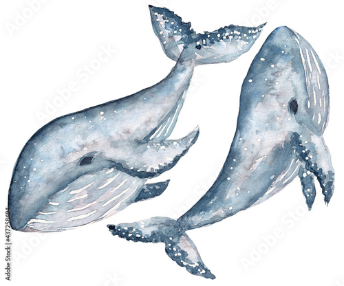 Set of watercolor illustrations, two blue whales isolated on a white background, handmade, marine illustrations for postcards, decor, postcards and so on.