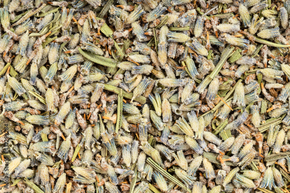 background - old dried lavender flowers background - old dried lavender flowers