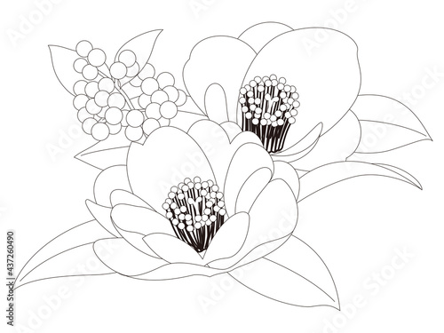 花のぬり絵　椿の花