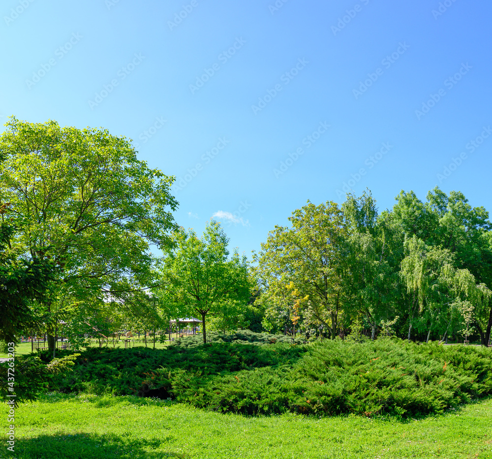 backyard and garden with spring trees and grass on lawn