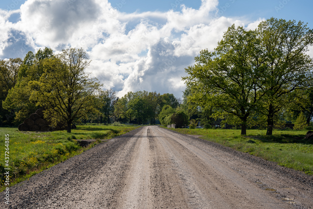 Country road In the countryside of Latvia, along the edges of which there are trees and green grass grows, the sky is blue with many macaques