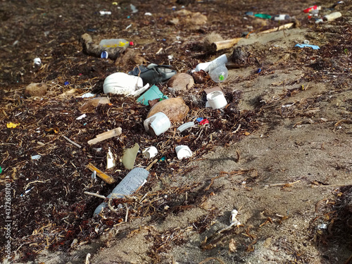 Garbage on the shore of the beach, algae and environmental pollution in the French West Indies. Plastic bottles, Beach pollution. Ecological concept, environmental problem. Marine contamination.