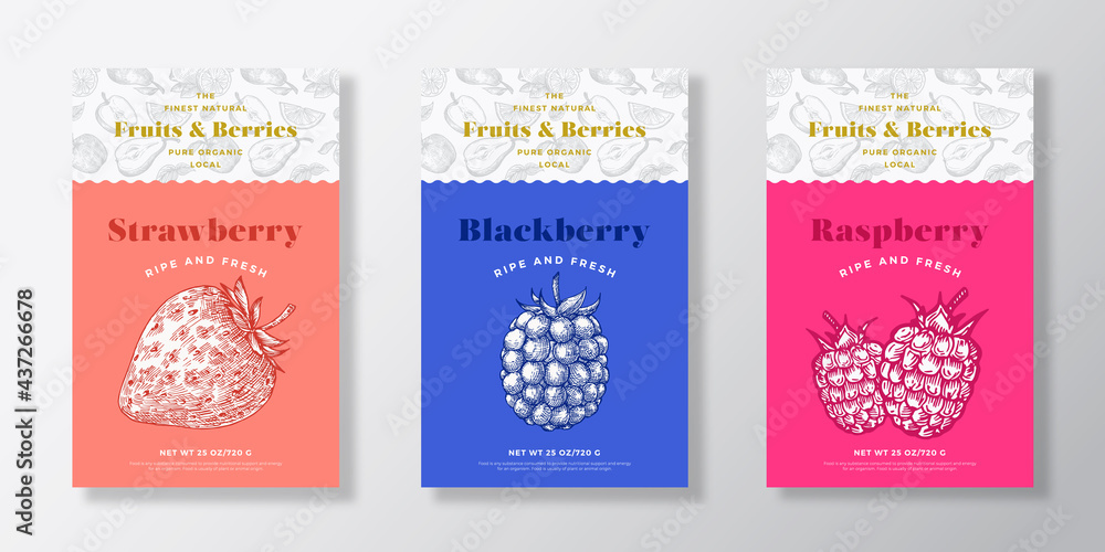 Fruits and Berries Pattern Label Templates Set. Vector Packaging Design Layout Collection. Modern Typography Banner with Hand Drawn Strawberry, Blackberry and Raspberry Sketches Background. Isolated