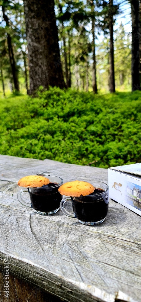 Fototapeta premium water in the garden