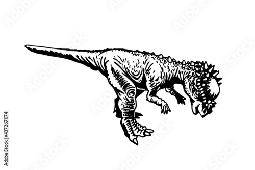 Graphical Pachycephalosaurus isolated on white background, vector element