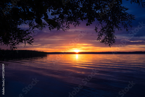 A beautiful sunset scenery at the lake with tree branch sihouette. Lakeside evening landscape in Northern Europe.