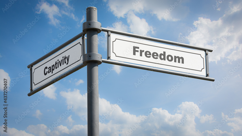 Fototapeta premium Street Sign to Freedom versus Captivity