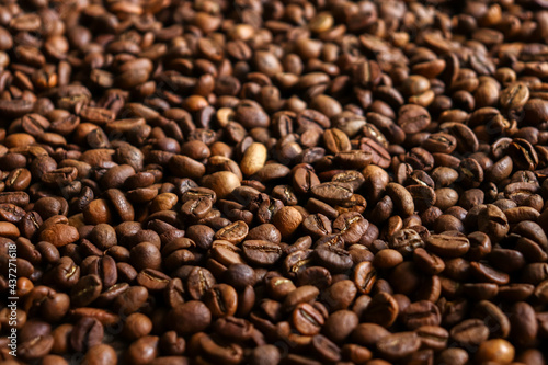 Horizontal banner with coffee beans. Top view. Copy space. Coffee beans background