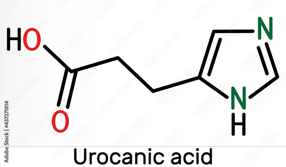 Urocanic acid molecule. It is intermediate product in the metabolism of histidine. Skeletal chemical formula Urocanic acid molecule. It is intermediate product in the metabolism of histidine. Skeletal chemical formula