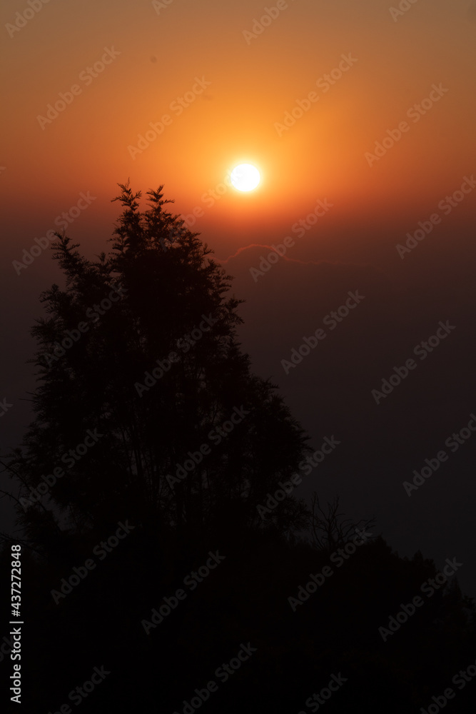 sunrise behind the tree on the early morning with golden sky. Sunrise behind the grass on the grass field sunrise behind the tree on the early morning with golden sky. Sunrise behind the grass on the grass field